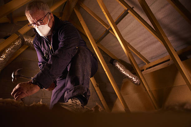 Best DIY Insulation Kits and Guidance in Lyons, IL